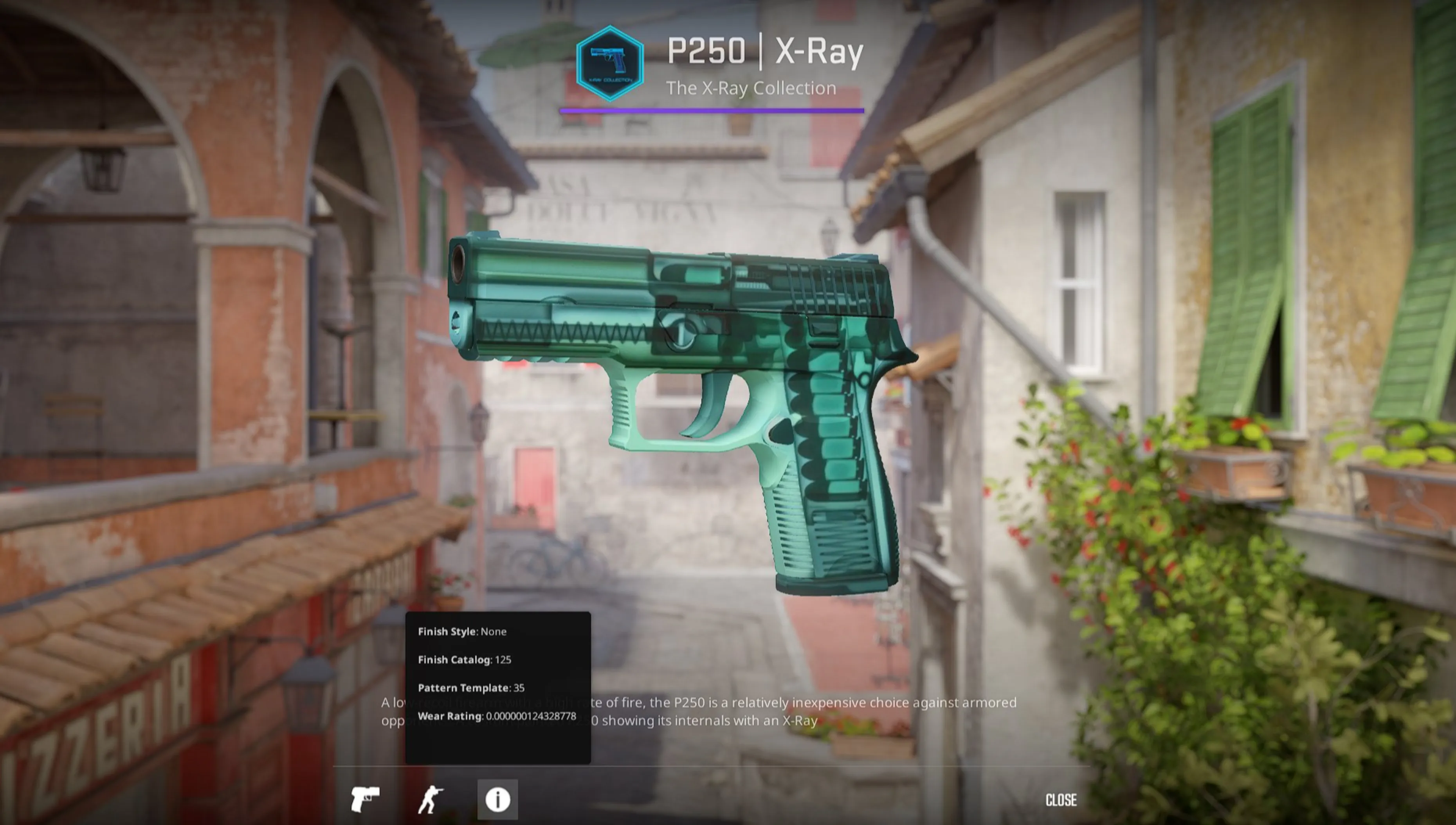 P250 X-Ray